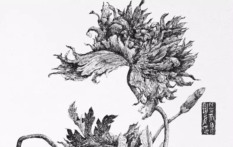 De ceci naissent les fleurs 2